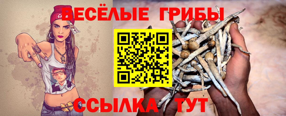 Галлюциногенные грибы мицелий Альметьевск